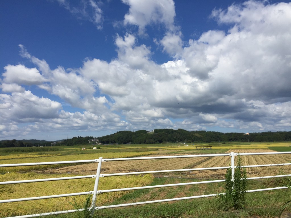 常陸大宮市