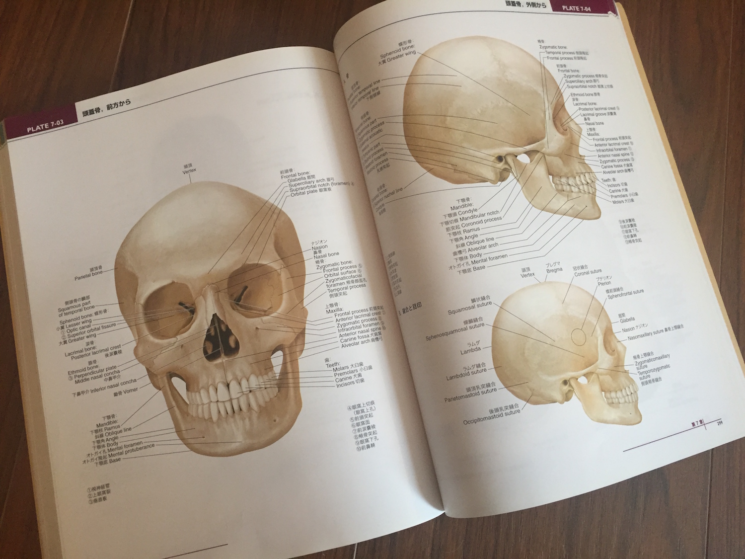 lippincott williams & wilkins atlas of anatomy