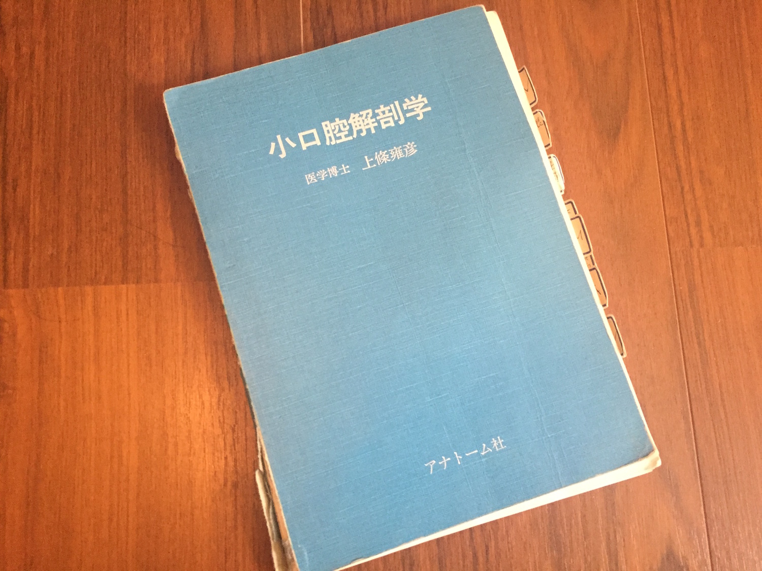 小口腔解剖学 上條雍彦著 アナトーム社