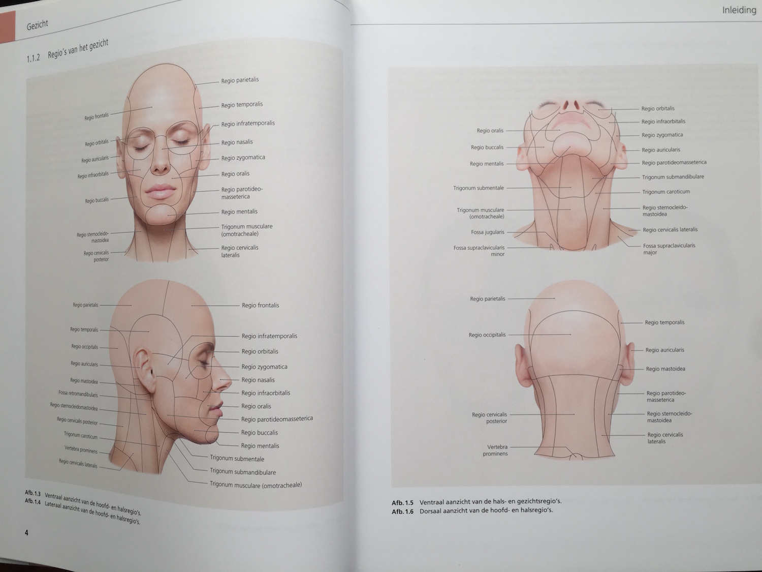 The Face Pictorial Atlas of Clinical Anatomy 