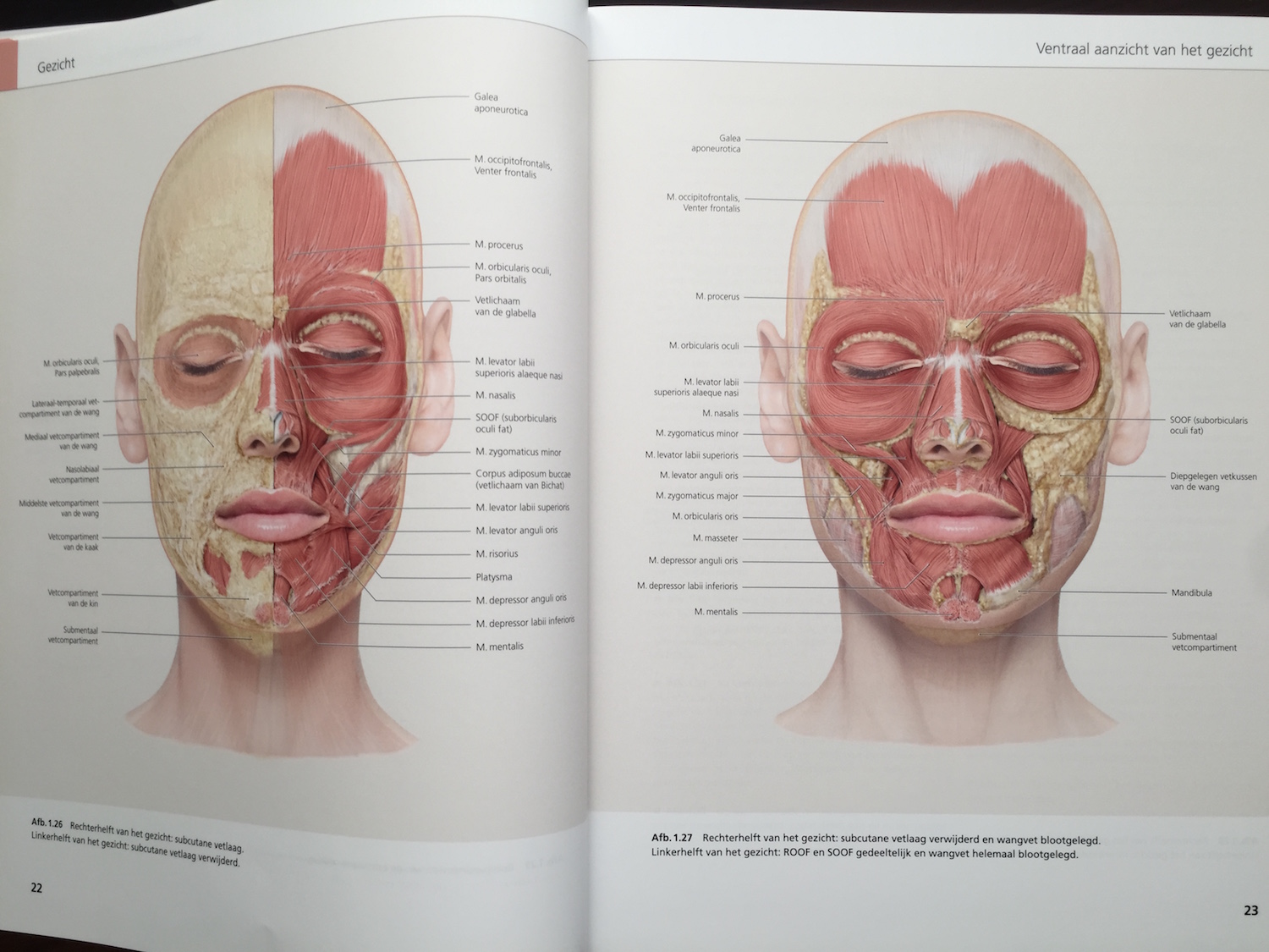 The Face Pictorial Atlas of Clinical Anatomy 