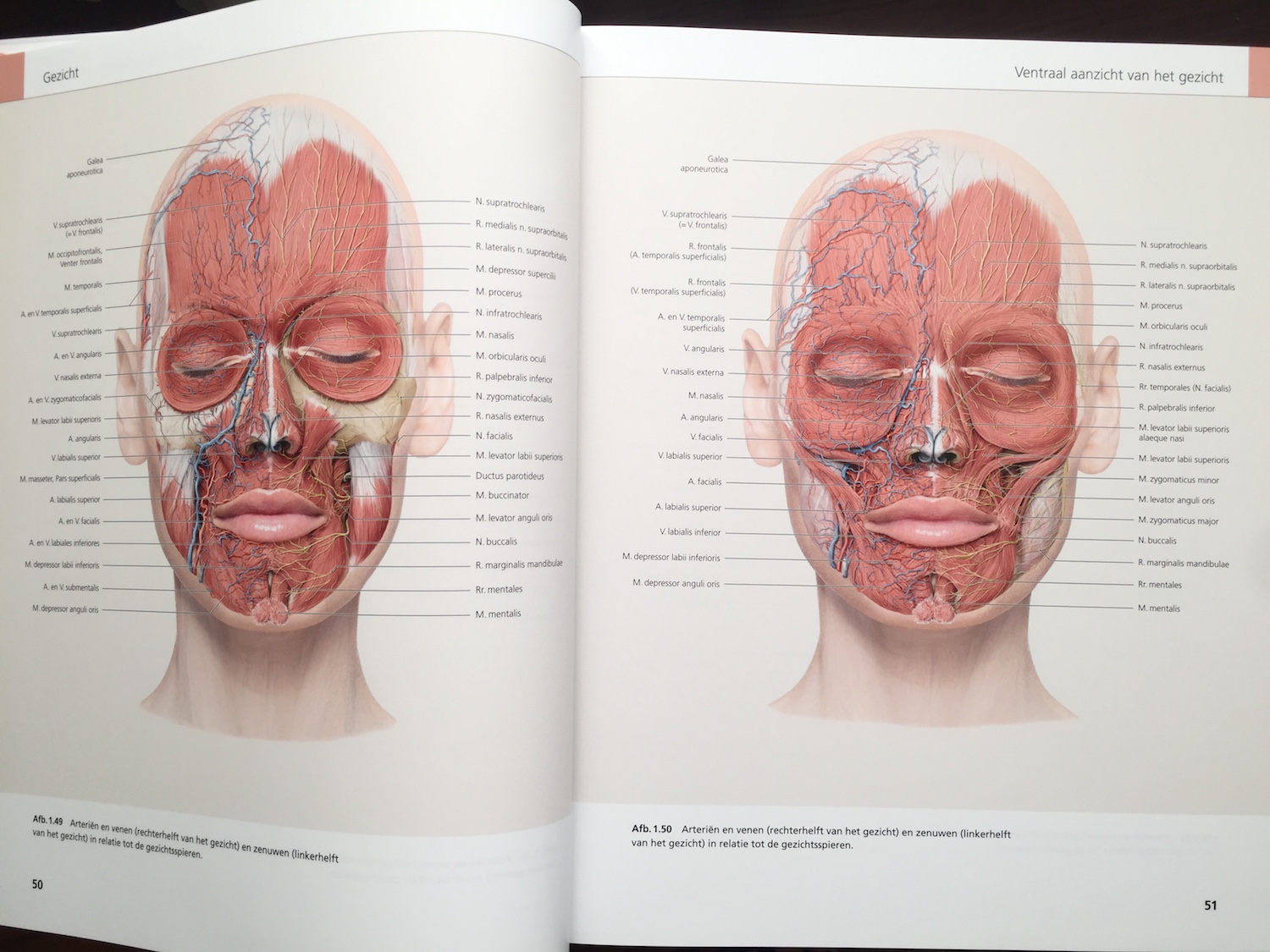 The Face Pictorial Atlas of Clinical Anatomy 