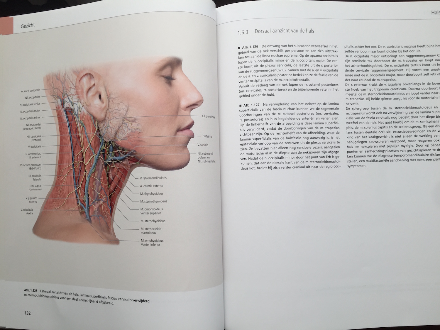 The Face Pictorial Atlas of Clinical Anatomy 