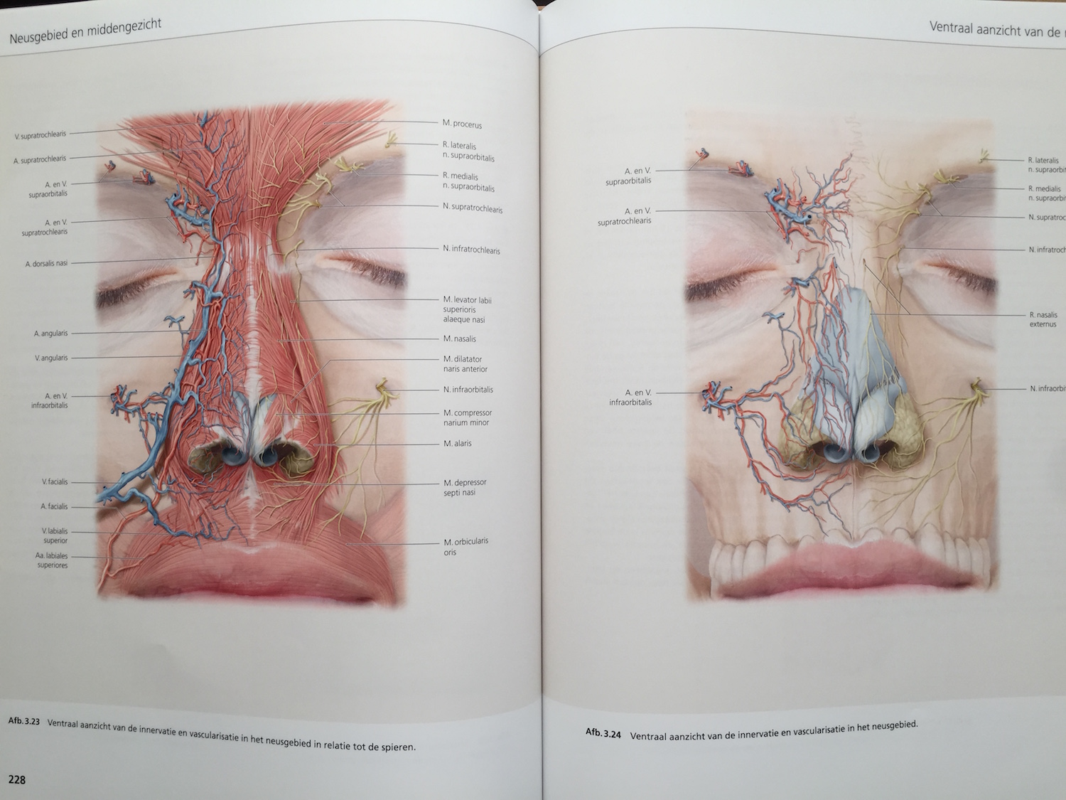 The Face Pictorial Atlas of Clinical Anatomy 