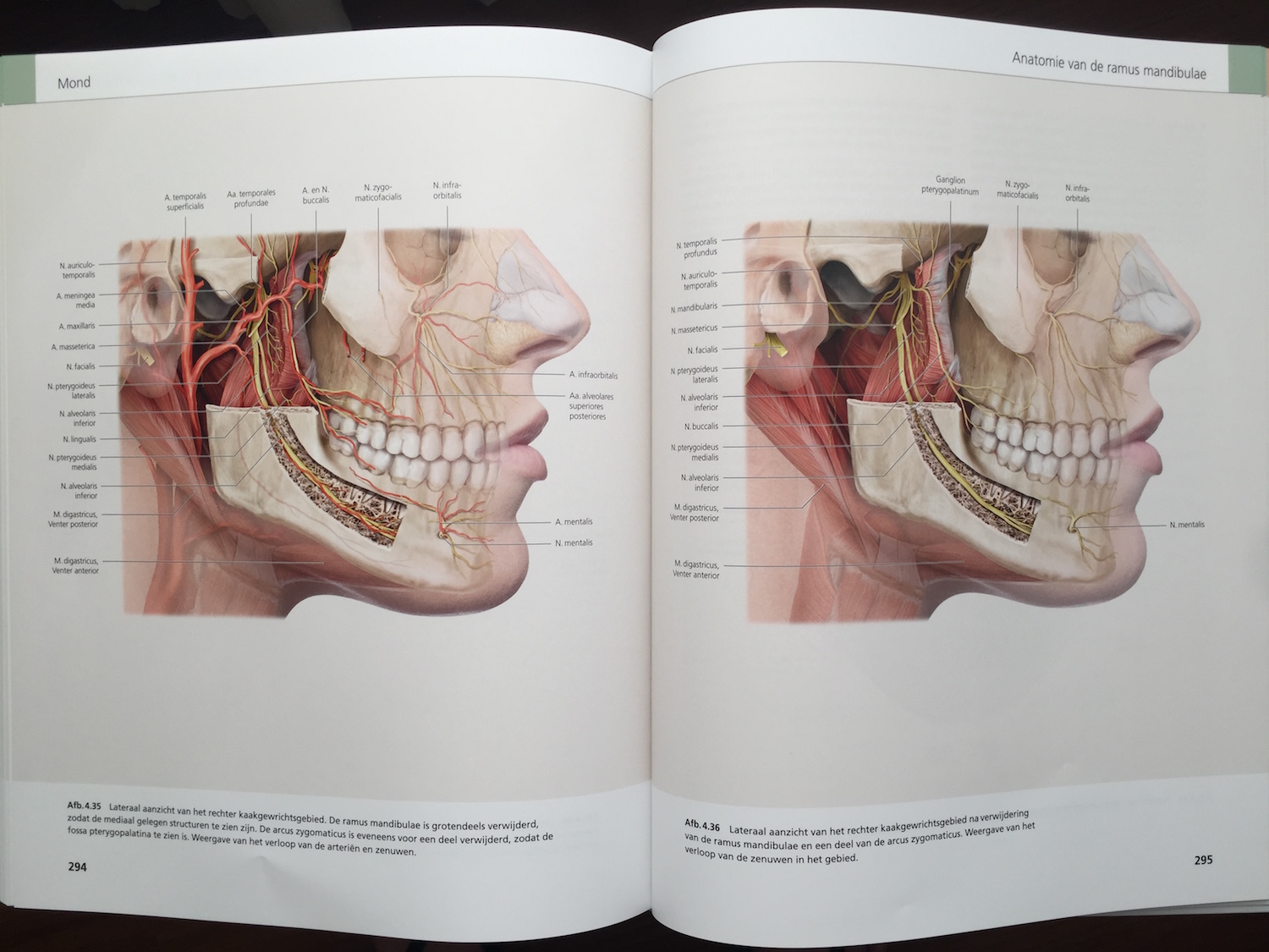 The Face Pictorial Atlas of Clinical Anatomy 