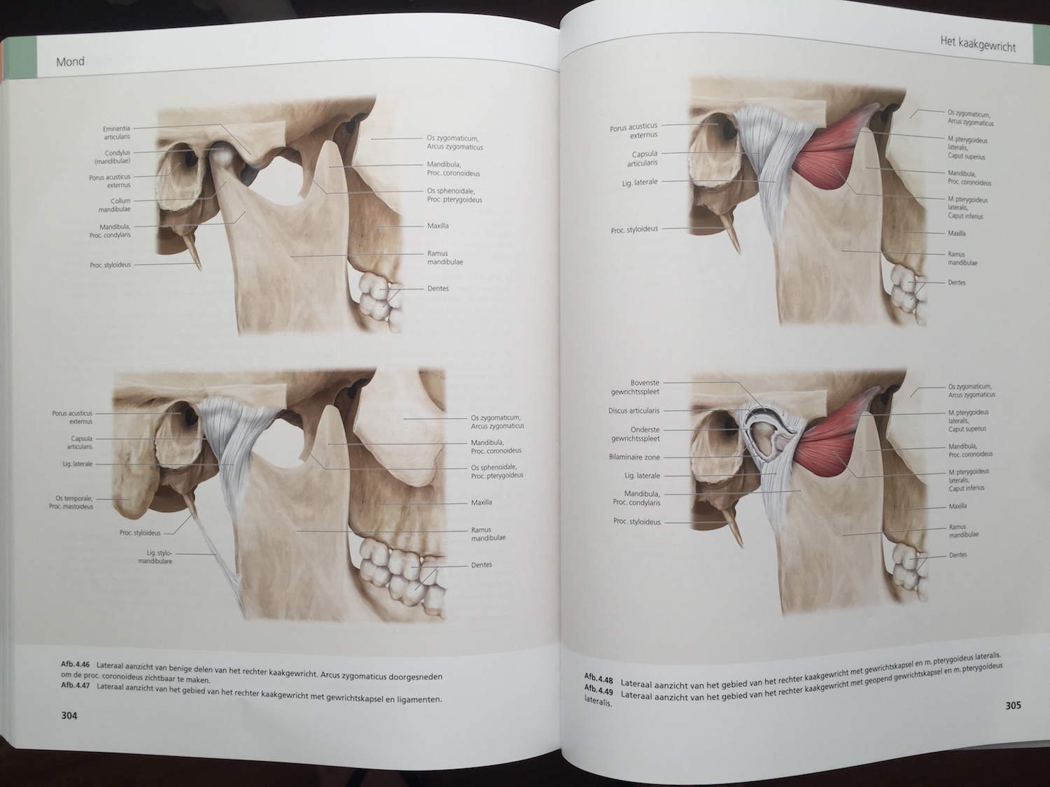 The Face Pictorial Atlas of Clinical Anatomy 