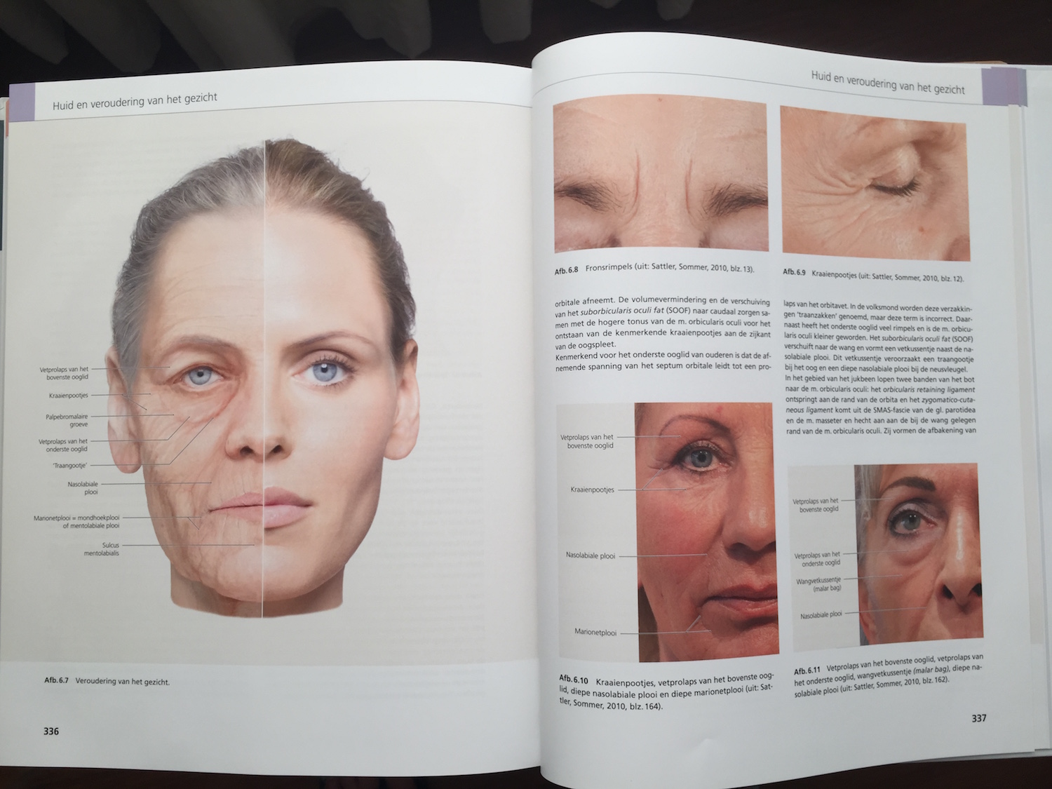 The Face Pictorial Atlas of Clinical Anatomy 