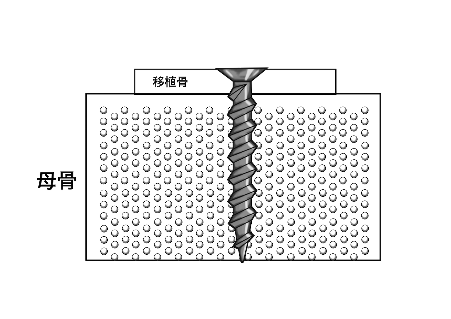 絵を描く口腔外科医　小山慶介