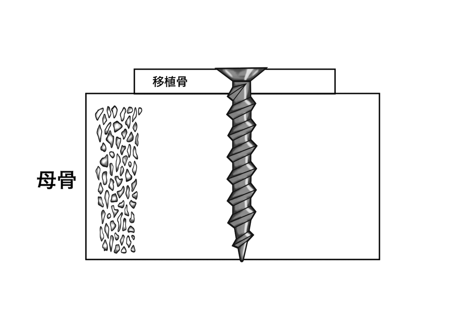 絵を描く口腔外科医　小山慶介