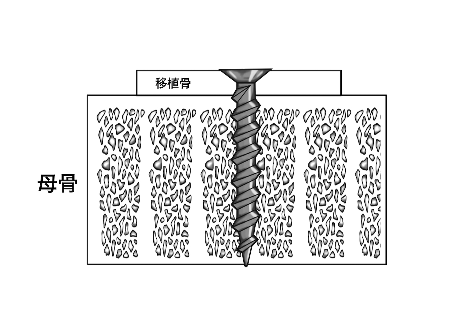 絵を描く口腔外科医　小山慶介