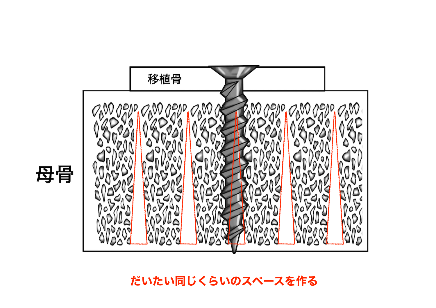 絵を描く口腔外科医　小山慶介