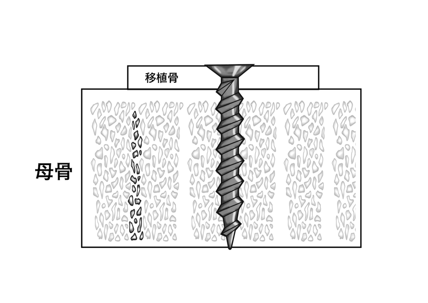 絵を描く口腔外科医　小山慶介