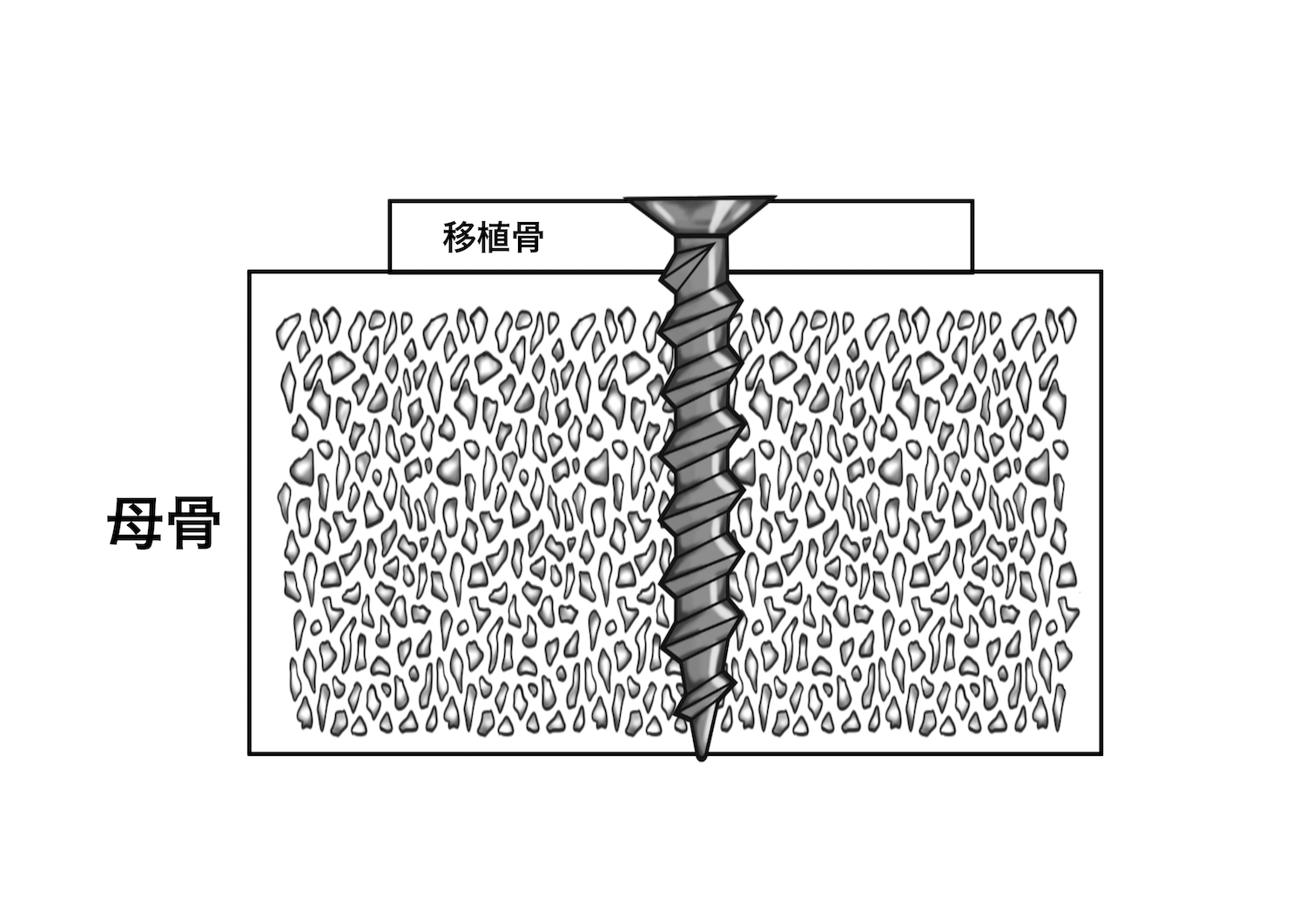 絵を描く口腔外科医　小山慶介