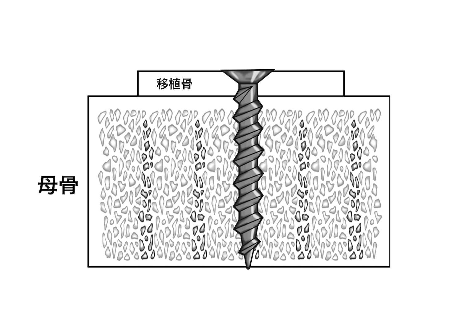 絵を描く口腔外科医　小山慶介