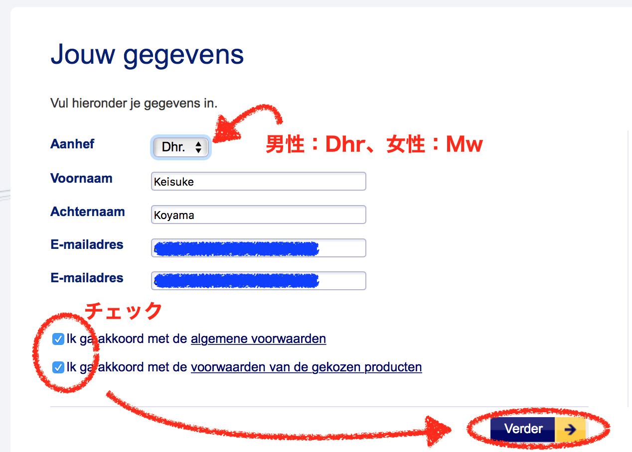 NS Trein Dagretour　オランダトレインチケット